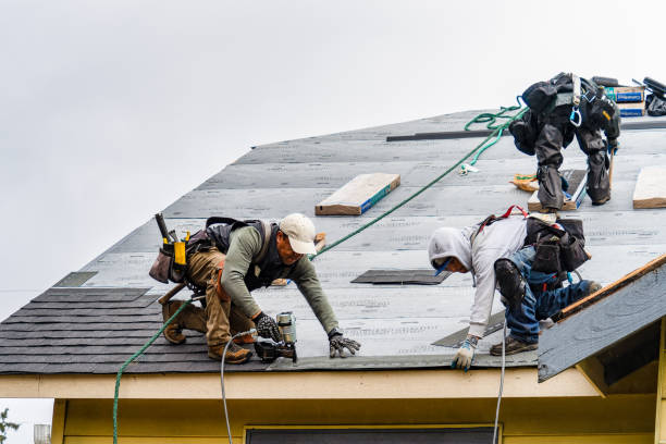 Professional Roofing technician working in Varna, IL